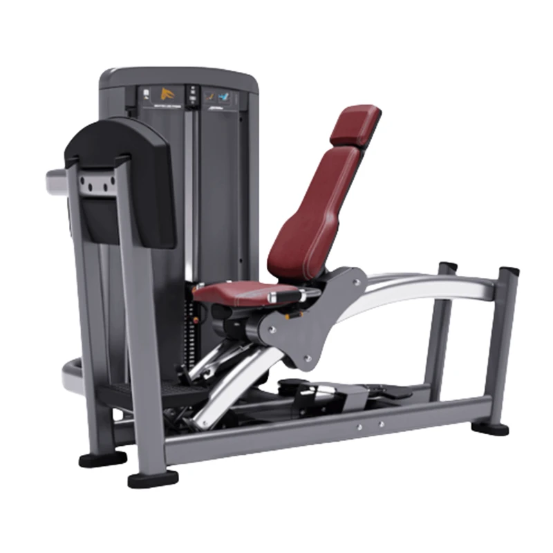 Leg Press