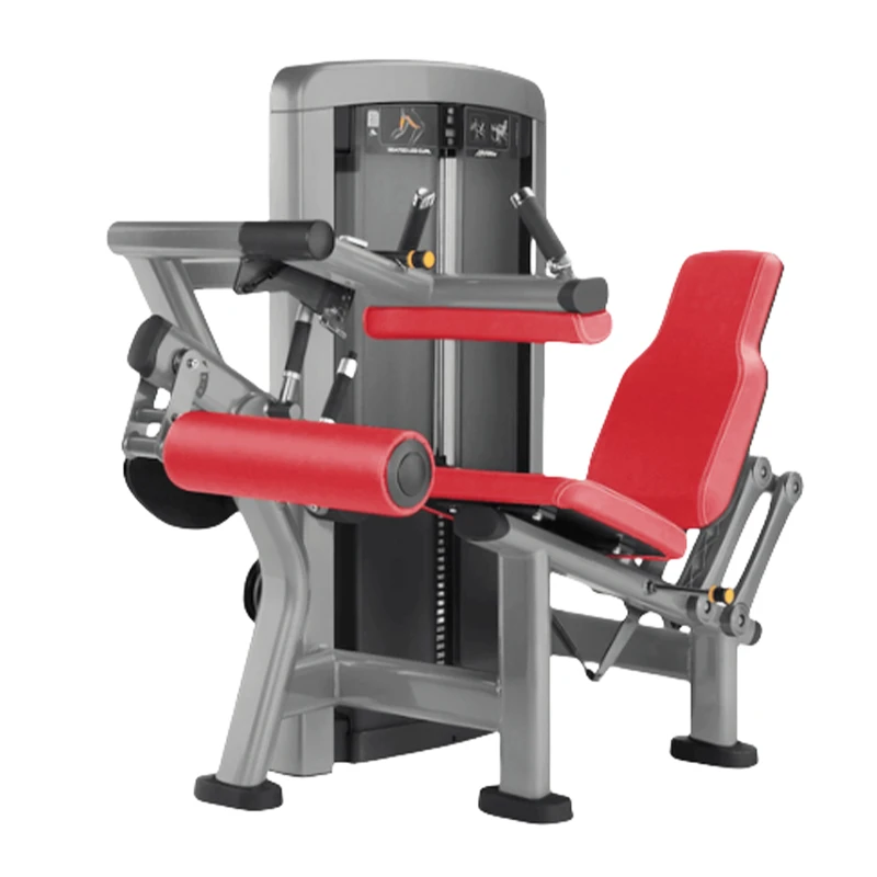 Seated Leg Curl