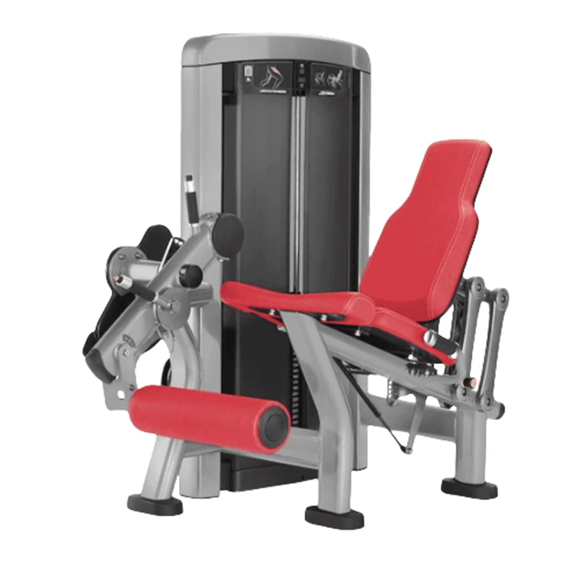 Seated Leg Extension