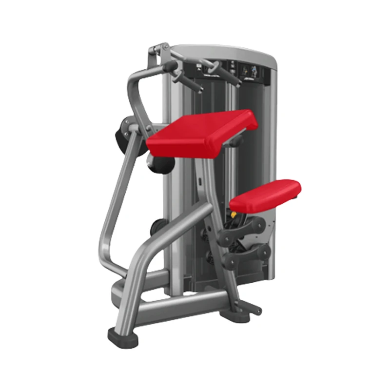 Triceps Extension