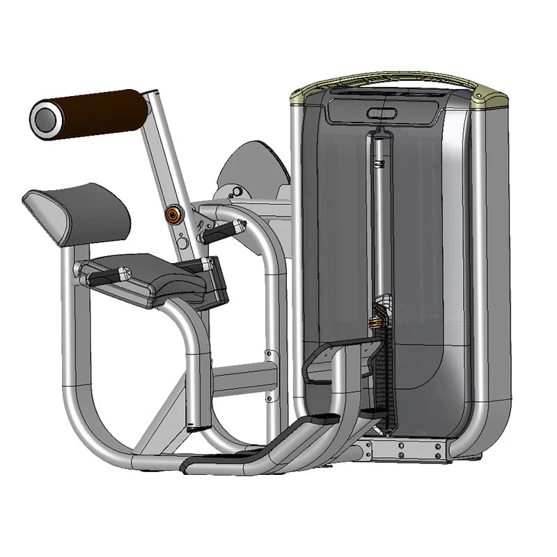 Back Extension Machine 