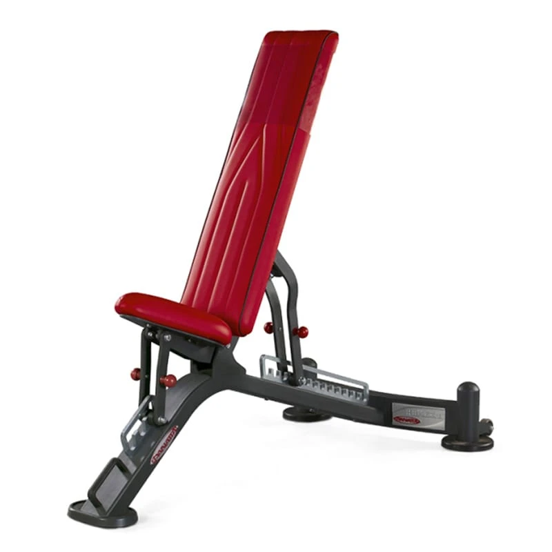 Fully Adjustable Bench